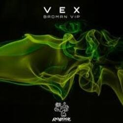 Portada VEX - Northern Funk (Leks Remix)