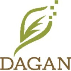 Portada Dagan - Focused