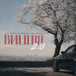 Portada Вишня (2.0 TUSOVKA & Nazz Muzik Remix)
