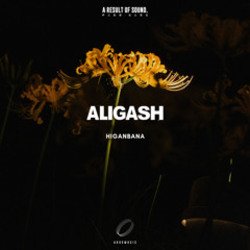 Portada ALIGASH - Moon Bay At Sunset (Extended Mix)