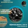Portada DesposalBeats, L B R I S - crysouls DesposalBeats, L B R I S - crysouls