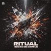 Portada Tiesto & Rita Ora - Ritual (DJ Nowitzki Remix) Tiesto & Rita Ora - Ritual (DJ Nowitzki Remix)