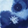 Portada Федяков Валерий - Князь любви Федяков Валерий - Князь любви