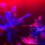 Portada Joseph Studio Friends Jam Session - Improvisation of Rock'n'roll 1993