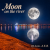 Portada DJ-Lion- Л. Е. В. - Moon on the river