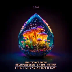 Portada Orisma & DJ Bim feat. Kata - Requiem To A Dream (Original Mix)