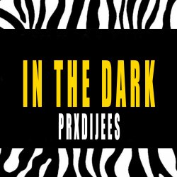 Portada IN THE DARK