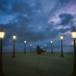Portada Aimer - Wren