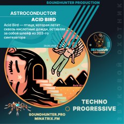Cover Astroconductor - Acid Bird