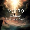 Portada MITRO - Шелуха (Drum and Bass) MITRO - Шелуха (Drum and Bass)