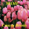 Обкладинка BRONIS AI - С ДНЁМ РОЖДЕНИЯ МАМА BRONIS AI - С ДНЁМ РОЖДЕНИЯ МАМА