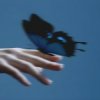 Lxst Wxrld, Mxnsxt - Butterflies in the Stomach