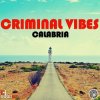 Cover Criminal Vibes vs. DJ DNK - Calabria (DJ KIRILLICH Mashup) Criminal Vibes vs. DJ DNK - Calabria (DJ KIRILLICH Mashup)