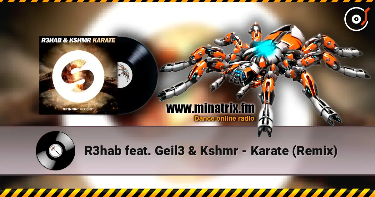 R3hab feat. Geil3 & Kshmr - Karate (Remix) escuchar online en alta calidad | Minatrix.FM