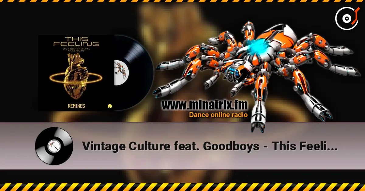 Vintage Culture feat. Goodboys - This Feeling (Velvet Mode And Chris Arna Remix) escuchar online en alta calidad | Minatrix.FM