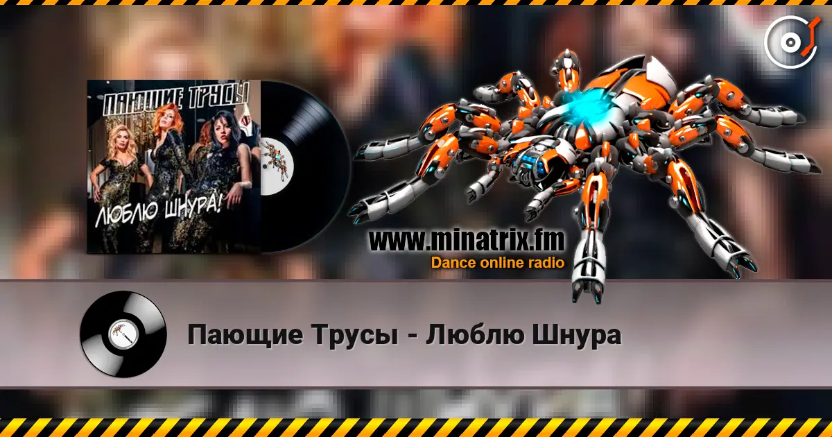 Пающие Трусы - Люблю Шнура escuchar online en alta calidad | Minatrix.FM
