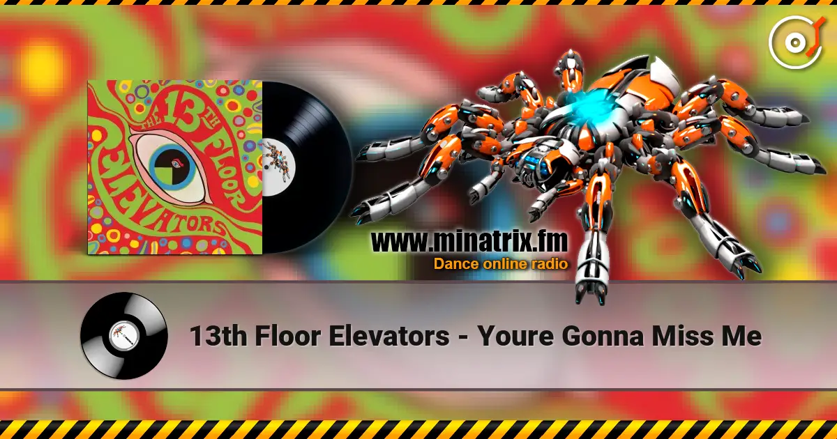 13th Floor Elevators - Youre Gonna Miss Me слухати онлайн у високій якості | Minatrix.FM