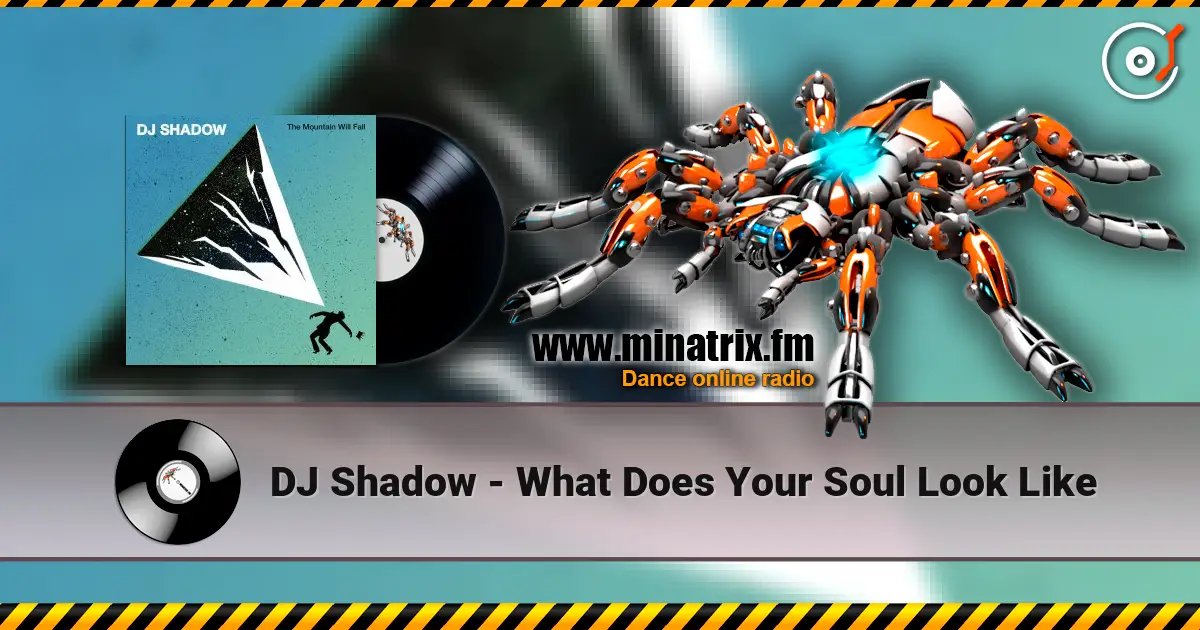 DJ Shadow - What Does Your Soul Look Like escuchar online en alta calidad | Minatrix.FM
