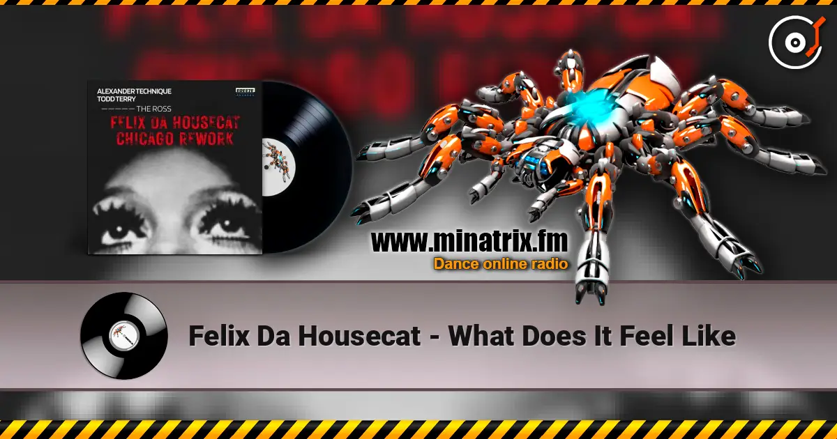 Felix Da Housecat - What Does It Feel Like escuchar online en alta calidad | Minatrix.FM