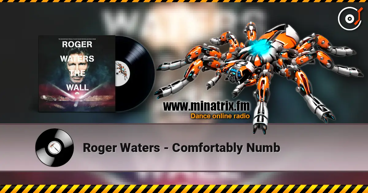 Roger Waters - Comfortably Numb listen online in high quality | Minatrix.FM