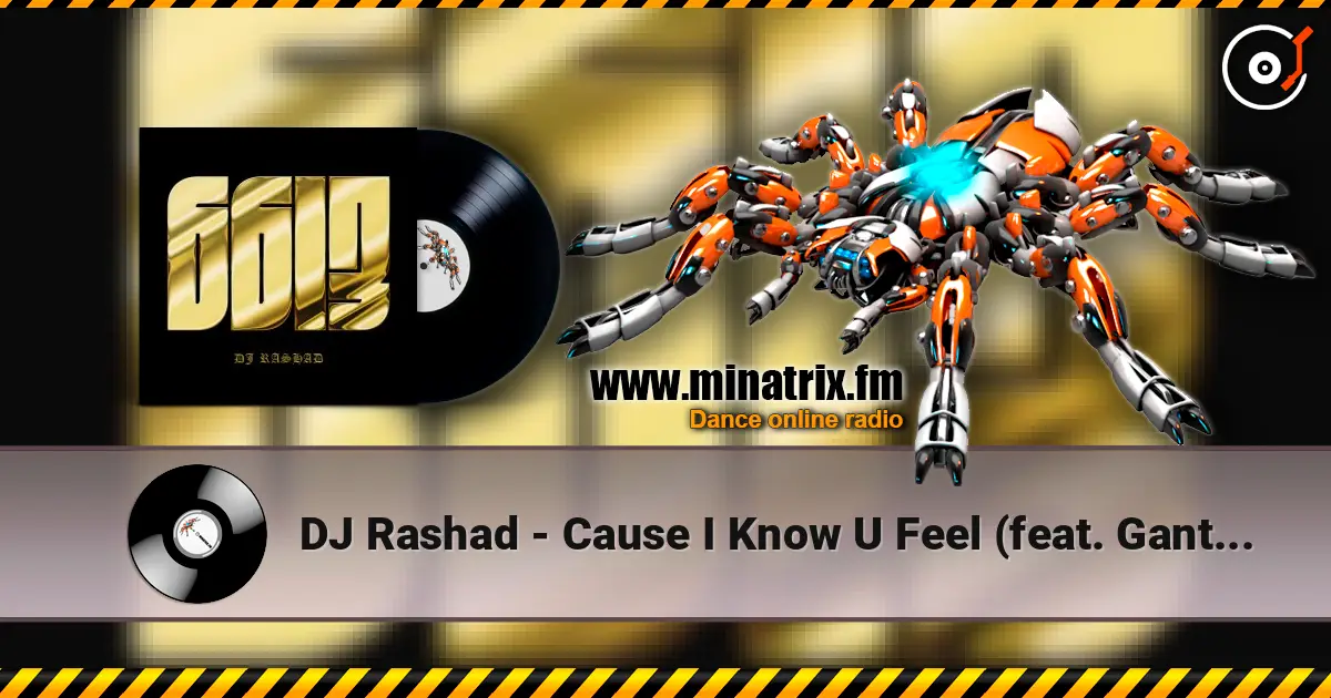 DJ Rashad - Cause I Know U Feel (feat. Gant-Man) listen online in high quality | Minatrix.FM