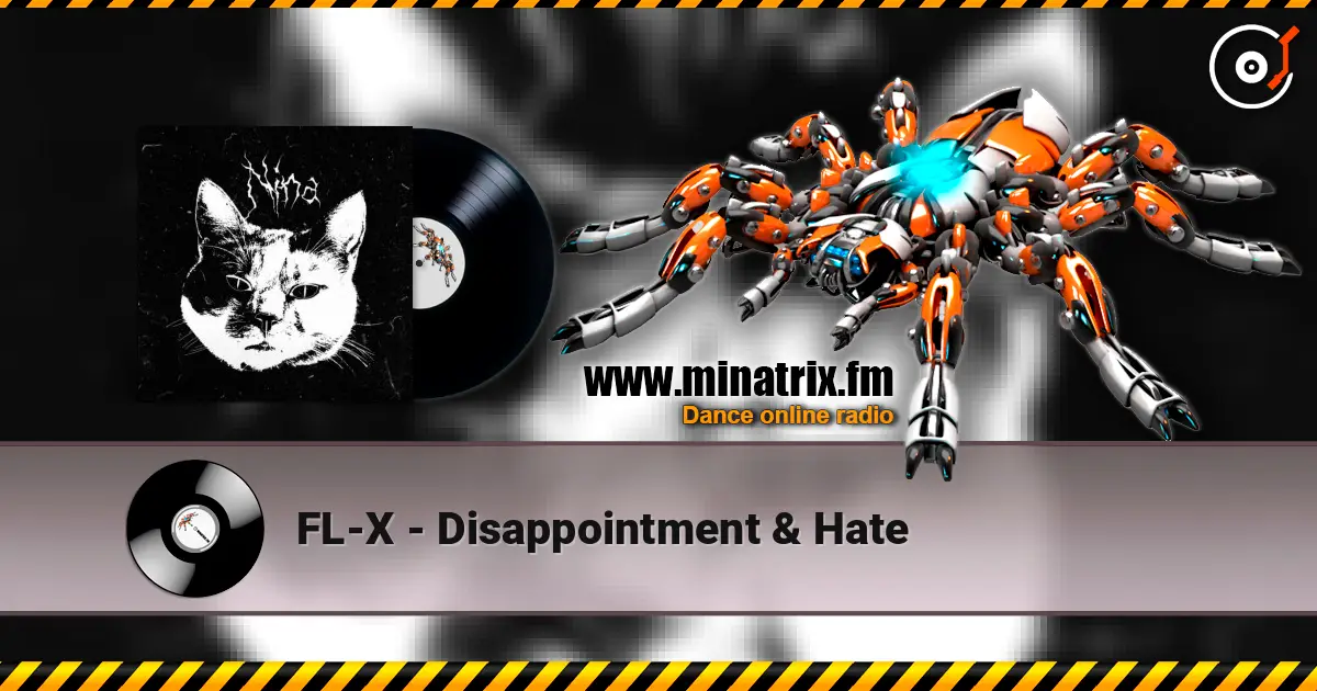 FL-X - Disappointment & Hate escuchar online en alta calidad | Minatrix.FM