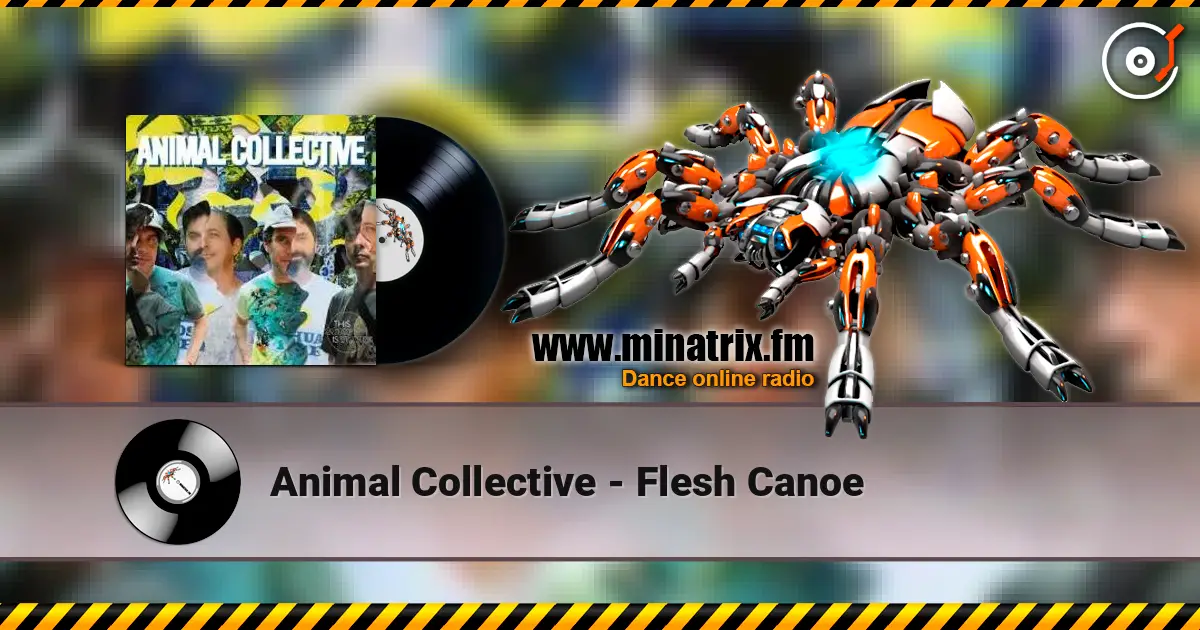 Animal Collective - Flesh Canoe escuchar online en alta calidad | Minatrix.FM