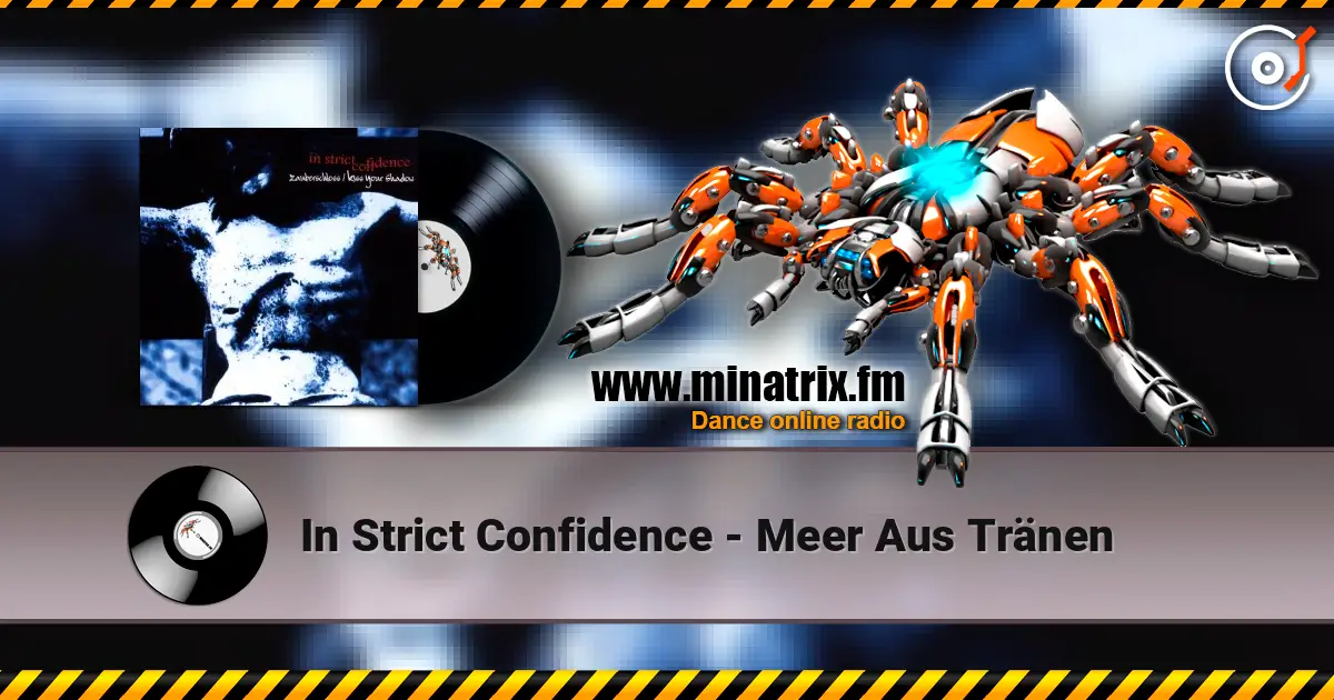 In Strict Confidence - Meer Aus Tränen escuchar online en alta calidad | Minatrix.FM