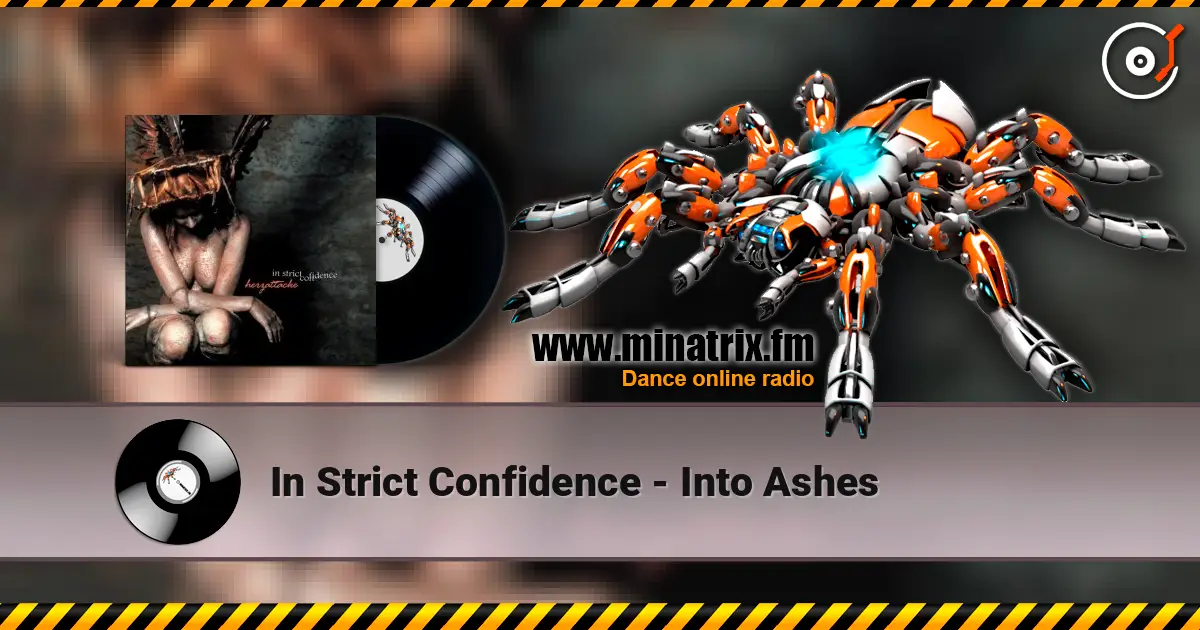 In Strict Confidence - Into Ashes escuchar online en alta calidad | Minatrix.FM