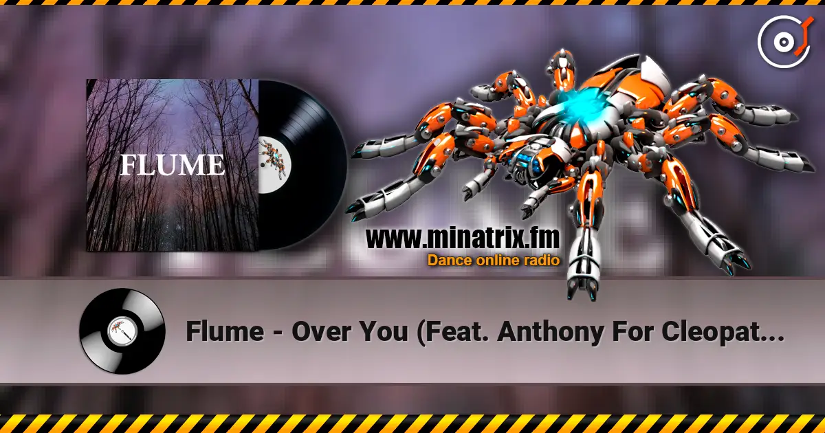 Flume - Over You (Feat. Anthony For Cleopatra) escuchar online en alta calidad | Minatrix.FM