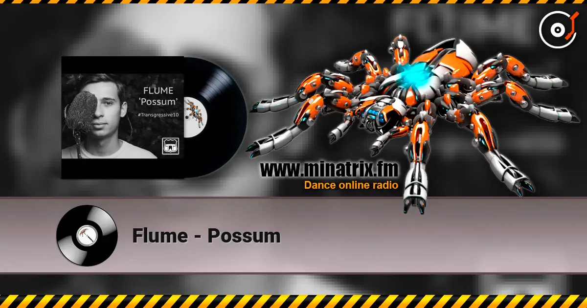 Flume - Possum escuchar online en alta calidad | Minatrix.FM