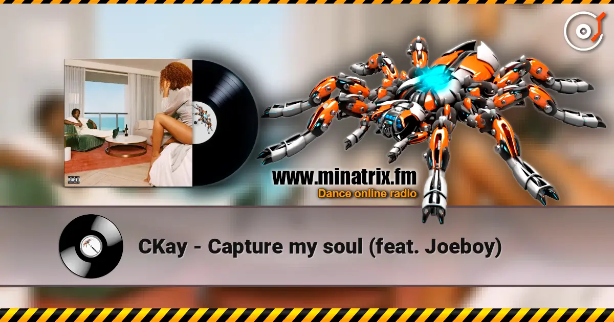 CKay - Capture my soul (feat. Joeboy) escuchar online en alta calidad | Minatrix.FM