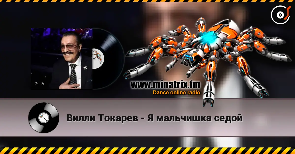 Вилли Токарев - Я мальчишка седой escuchar online en alta calidad | Minatrix.FM