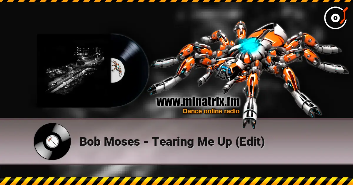 Bob Moses - Tearing Me Up (Edit) escuchar online en alta calidad | Minatrix.FM