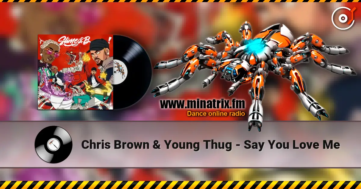 Chris Brown & Young Thug - Say You Love Me escuchar online en alta calidad | Minatrix.FM