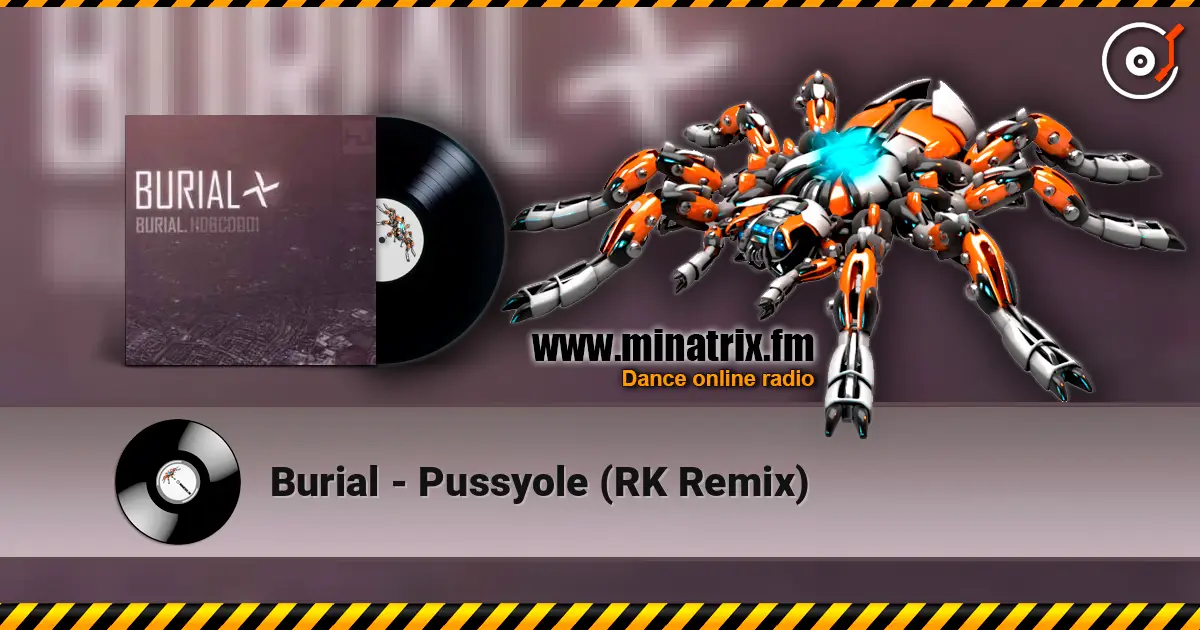 Burial - Pussyole (RK Remix) escuchar online en alta calidad | Minatrix.FM