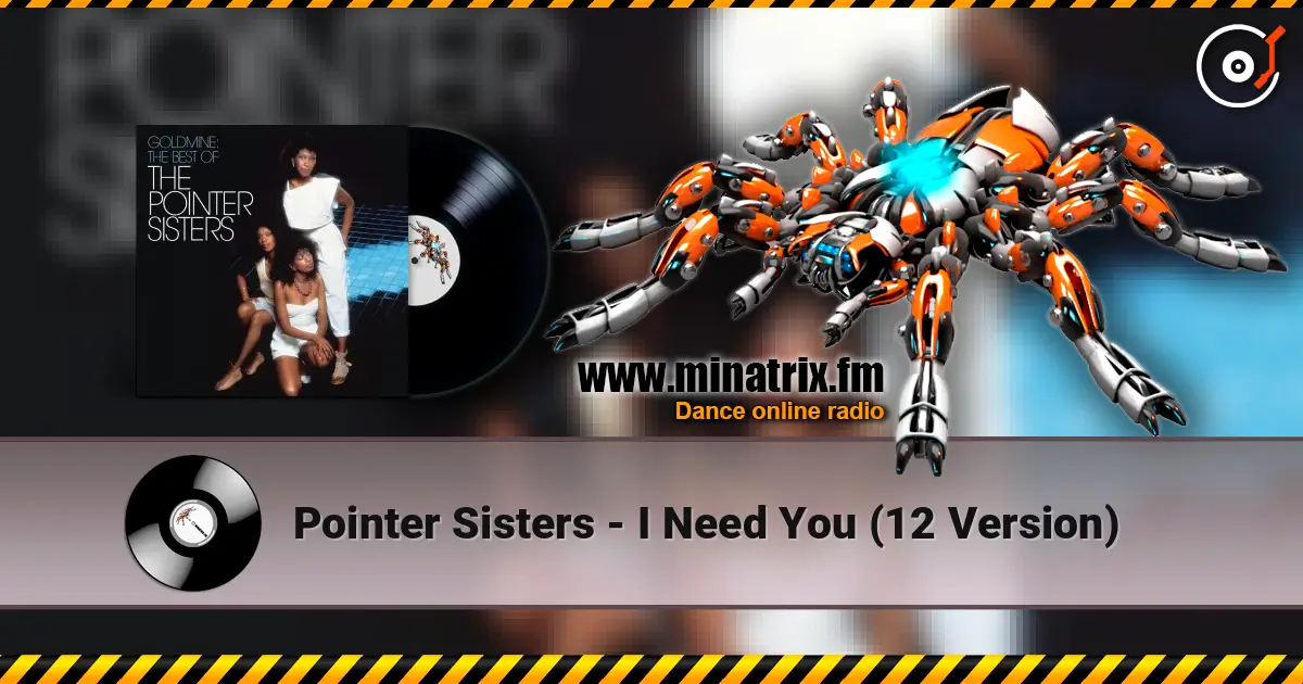 Pointer Sisters - I Need You  (12 Version) escuchar online en alta calidad | Minatrix.FM