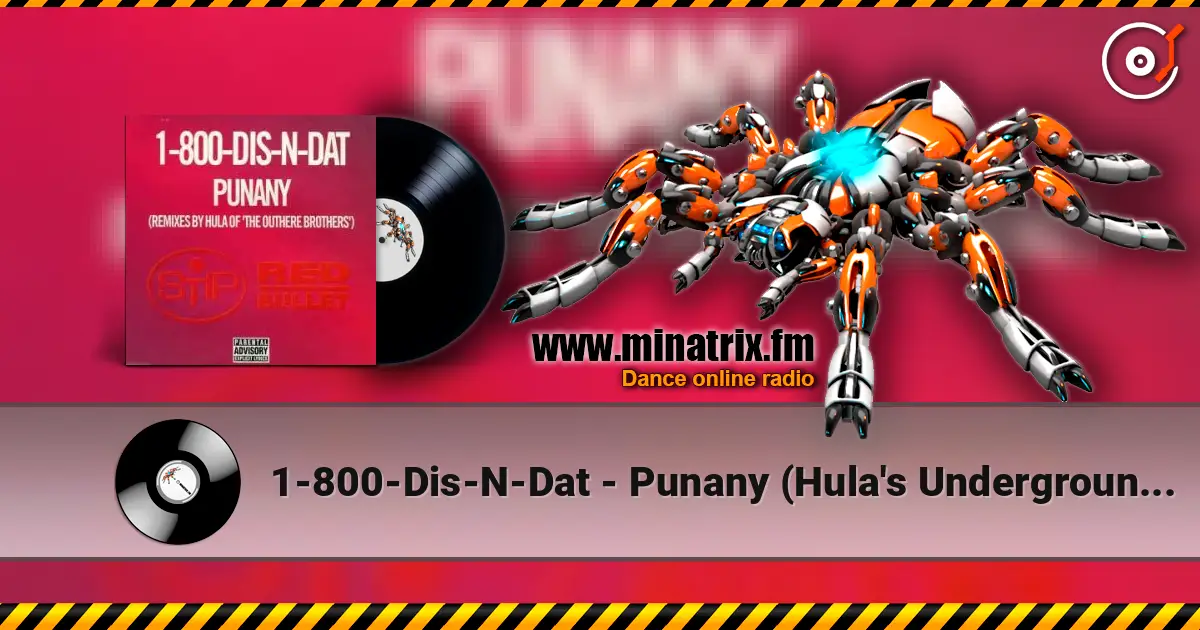 1-800-Dis-N-Dat - Punany (Hula's Underground Long) слухати онлайн у високій якості | Minatrix.FM