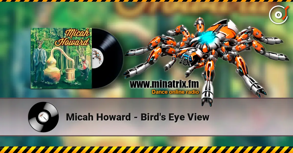 Micah Howard - Bird's Eye View escuchar online en alta calidad | Minatrix.FM