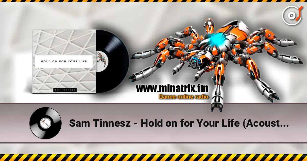 Sam Tinnesz - Hold on for Your Life (Acoustic) listen online in high quality | Minatrix.FM