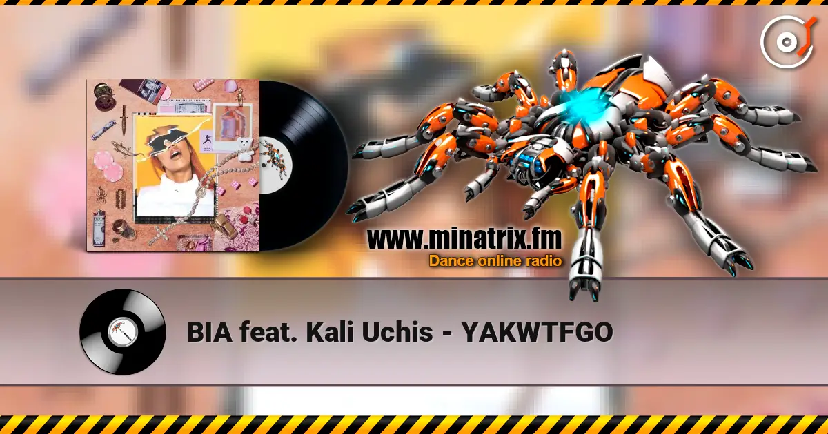 BIA feat. Kali Uchis - YAKWTFGO listen online in high quality | Minatrix.FM
