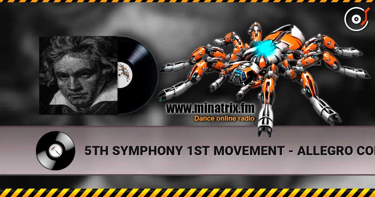 5TH SYMPHONY 1ST MOVEMENT - ALLEGRO CON BRIO listen online in high quality | Minatrix.FM