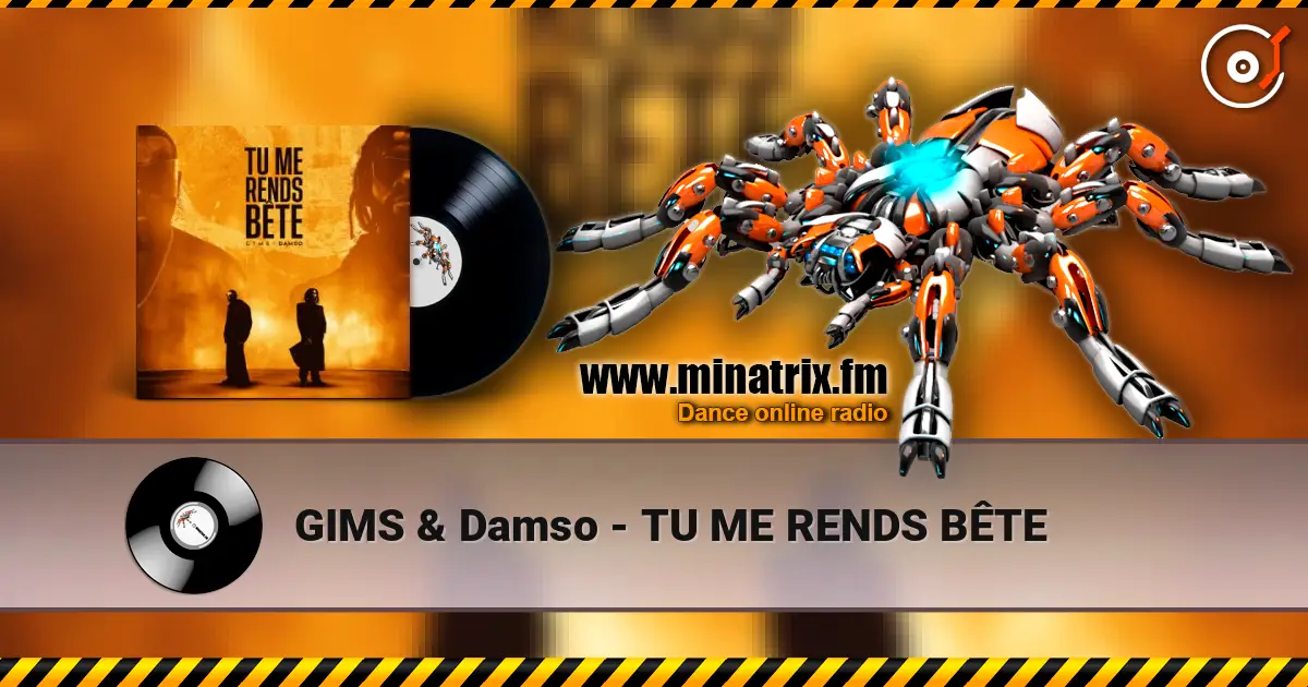 GIMS & Damso - TU ME RENDS BÊTE escuchar online en alta calidad | Minatrix.FM