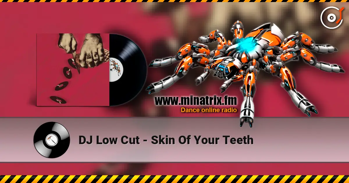 DJ Low Cut - Skin Of Your Teeth escuchar online en alta calidad | Minatrix.FM