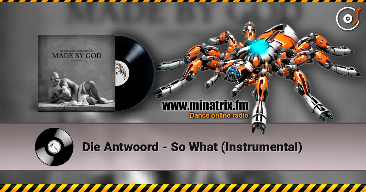 Die Antwoord - So What (Instrumental) escuchar online en alta calidad | Minatrix.FM