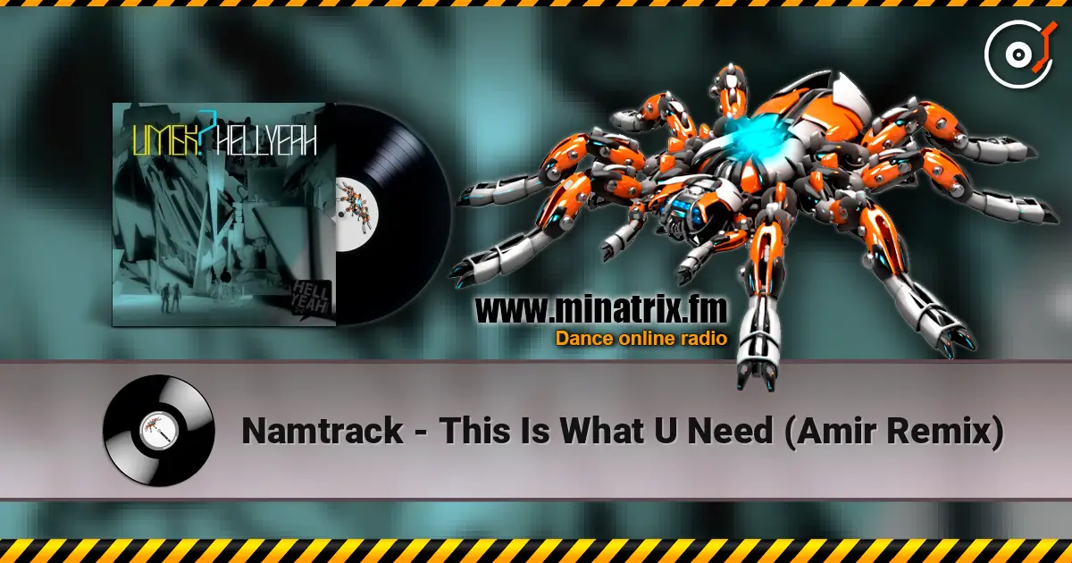 Namtrack - This Is What U Need (Amir Remix) escuchar online en alta calidad | Minatrix.FM