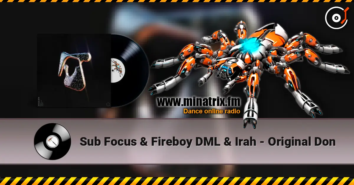 Sub Focus & Fireboy DML & Irah - Original Don escuchar online en alta calidad | Minatrix.FM