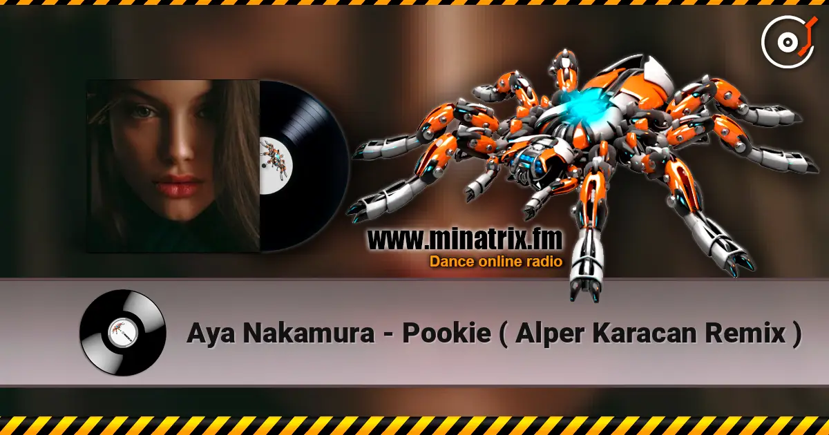 Aya Nakamura - Pookie ( Alper Karacan Remix ) escuchar online en alta calidad | Minatrix.FM