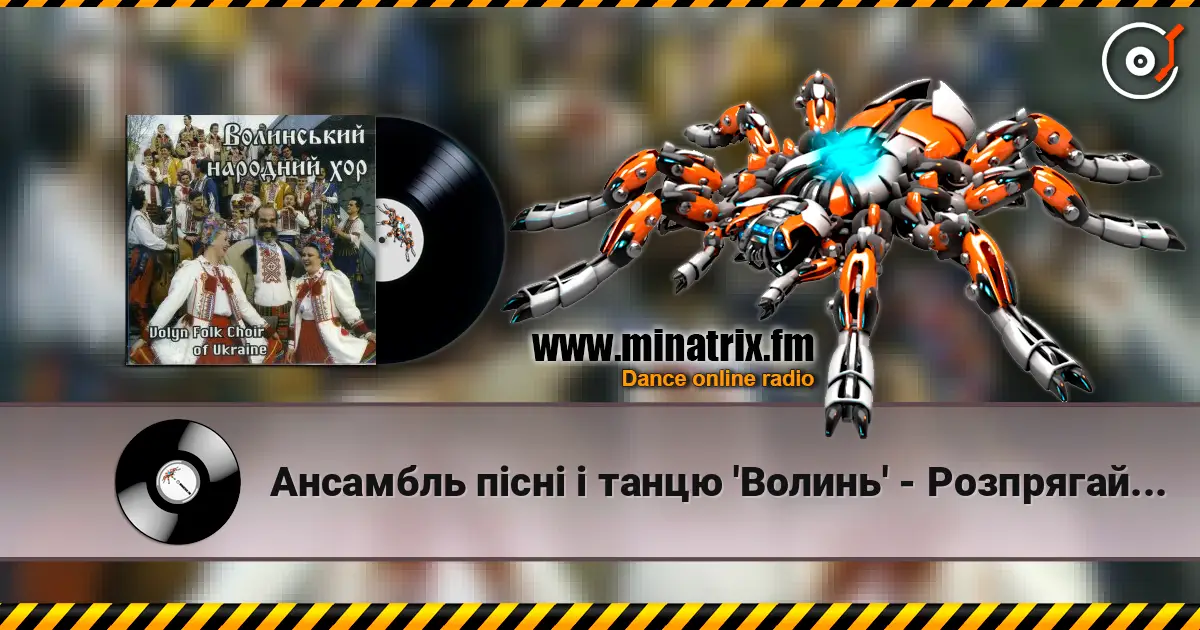 Ансамбль пісні і танцю 'Волинь' - Розпрягайте, хлопці, коней escuchar online en alta calidad | Minatrix.FM