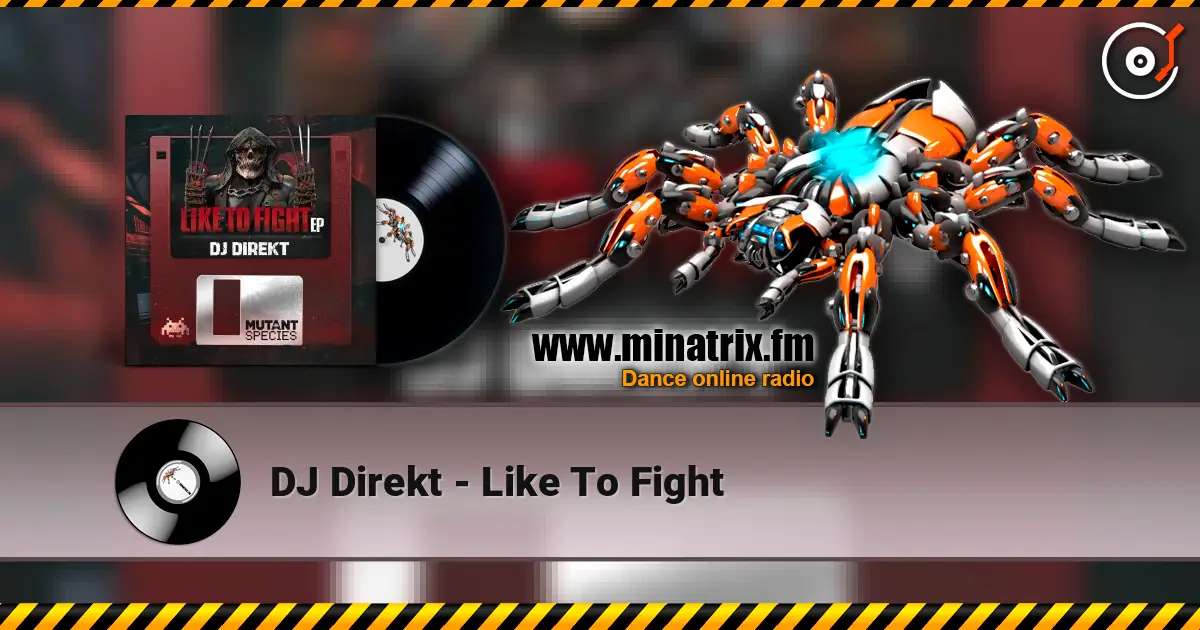 DJ Direkt - Like To Fight escuchar online en alta calidad | Minatrix.FM